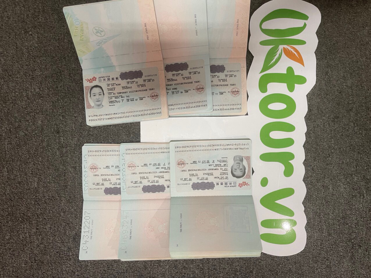 Chuyên cung cấp dịch vụ visa Nhật Bản du lịch