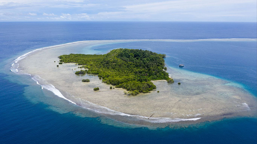 Dịch vụ làm visa Papua New Guinea nhanh chóng, uy tín và trọn gói